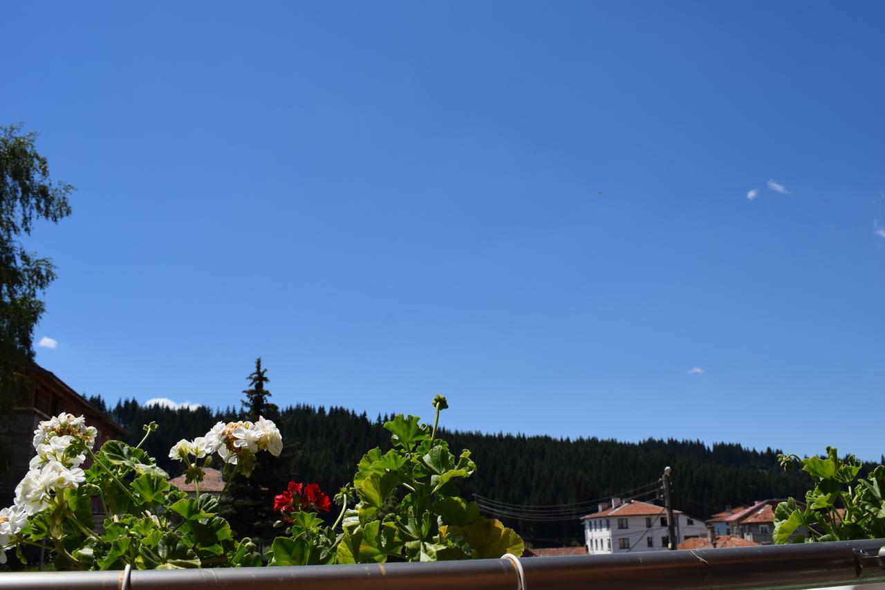 Complex Pele Hotell Zmeitsa Exteriör bild