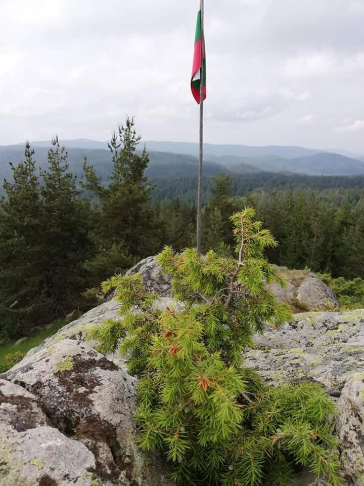 Complex Pele Hotell Zmeitsa Exteriör bild