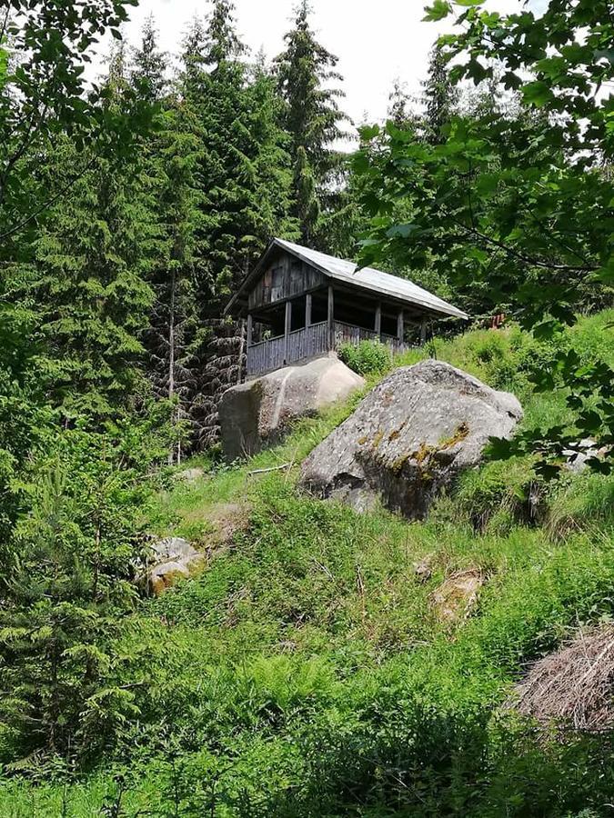 Complex Pele Hotell Zmeitsa Exteriör bild